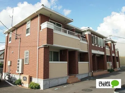 サンライズの画像