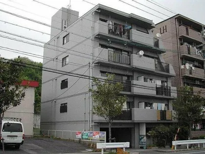 ヒルトンブルーの画像
