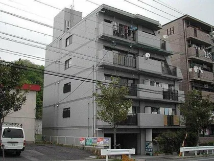 ヒルトンブルーの画像