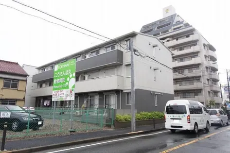 ハロディアの画像