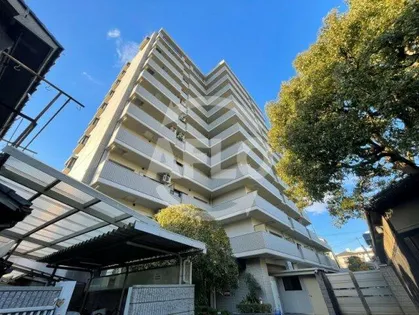 ビューテラス大新【5階】の外観