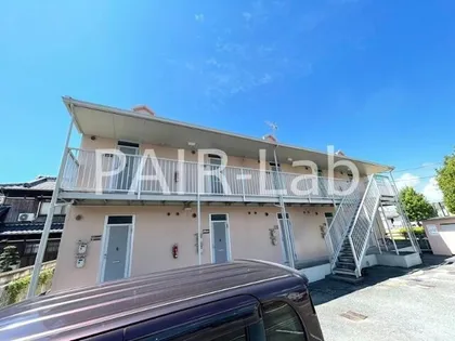 アプリコットKの画像