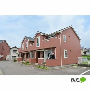 カリーノAの画像