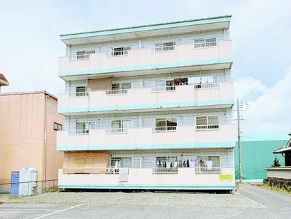 新柏原ビレッジ2号棟の画像