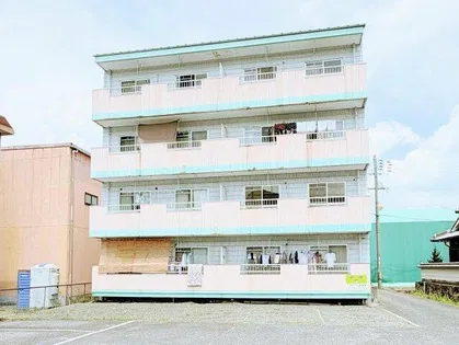 新柏原ビレッジ2号棟の画像