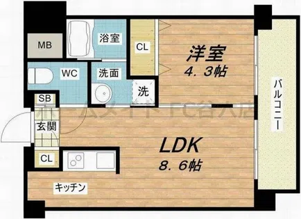 アニマーレ長堀【6階】の間取り