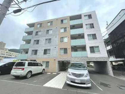RAFFIAの画像
