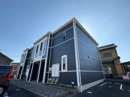 シュガー Nの画像