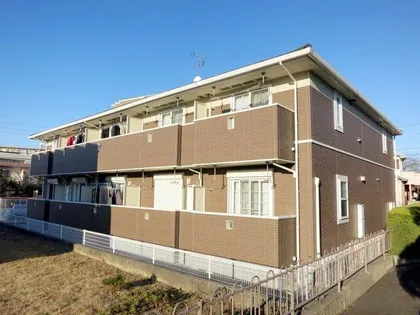 プリムローズ 上地の画像