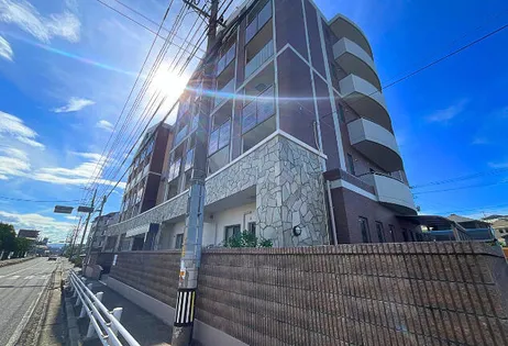 グラシューズ エールの画像