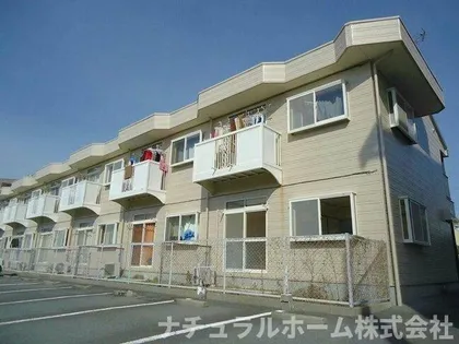 エルディムナツメBの画像