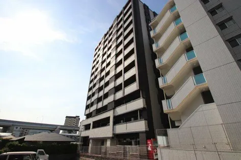 ウィークス ステラの画像