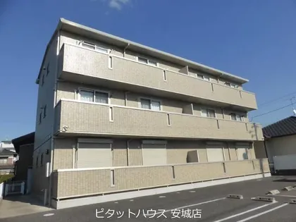 アムール中手の画像