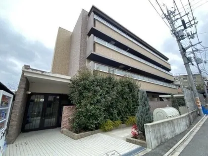 プラシド七瀬川の画像
