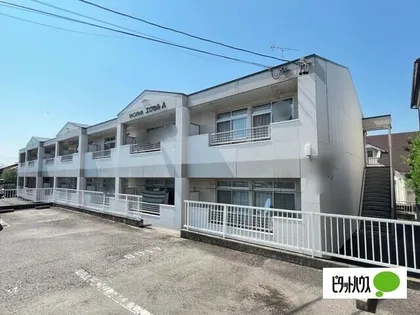 ツインハイムエクセルの画像