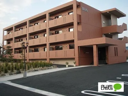 プライベート フォレストの画像