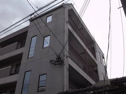 ビルシャナ野江の画像