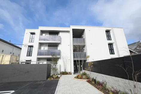 SHAMAISON LANーFREEの画像