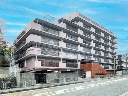 日商岩井石橋マンションの画像
