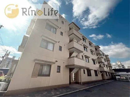 桐朋ハイツの画像