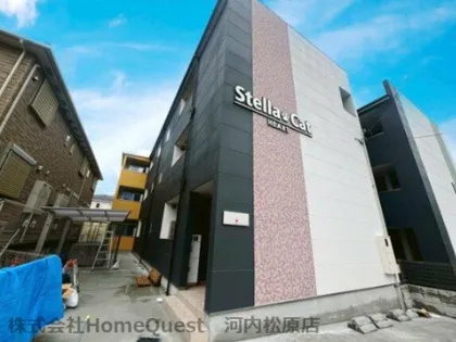 ステラキャットハート【1階】の外観