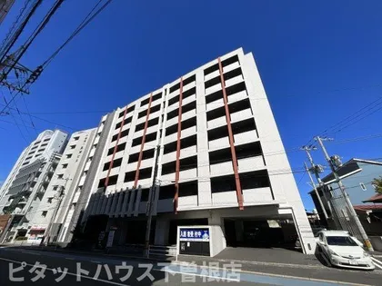 セフィロトの画像