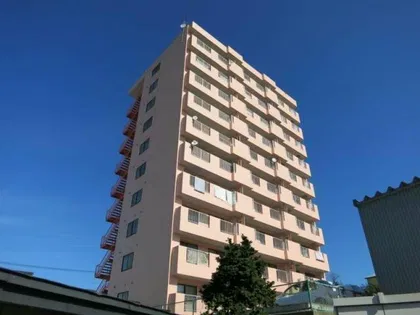 ヴェルドミール西桔梗の画像