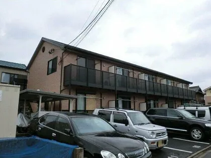 アンプルール リープル サン ステージIIの画像