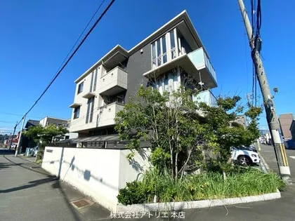 SHAMAISON LUMIEの画像