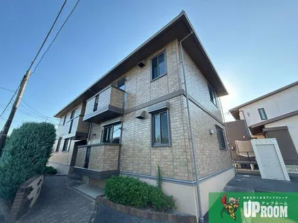 サクスィード ワイズ ロードの画像