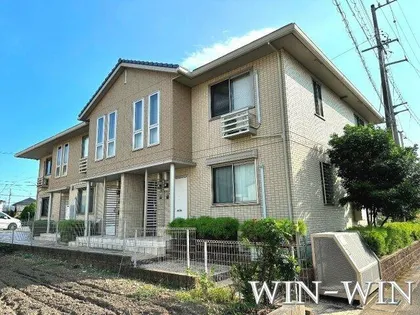 ロイヤルウィットの画像