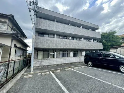 アンプルールフェールREALIFE2の画像