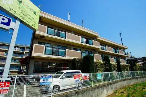 ラウレール ヒラタの画像