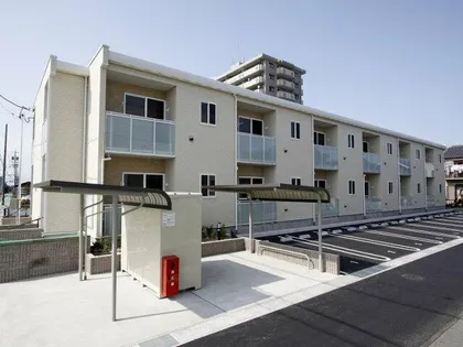 レオネクストホワイトクローバーの画像