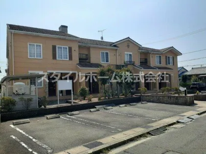 FIORE PLACIDO蘭の画像