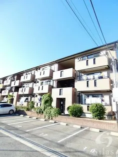 コートダジュールの画像