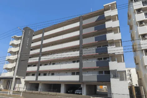 ピースグレース【603号室】の外観