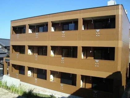 ラフィーネの画像