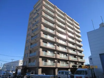 ハイブライト平岡の画像