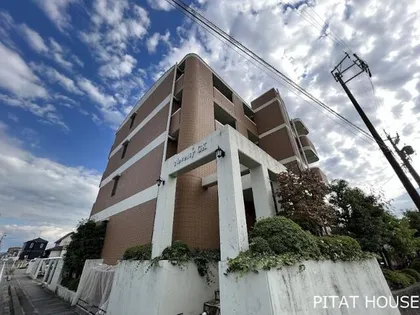 ノベルティGX【203号室】の外観