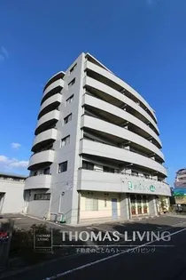 カサブランカフィールドの画像