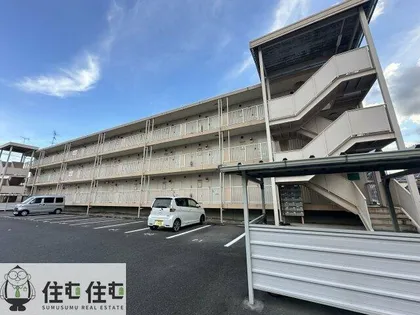 ベルメゾン錦の画像