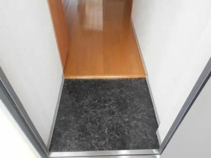 セントラルコート千代田【10階】の玄関