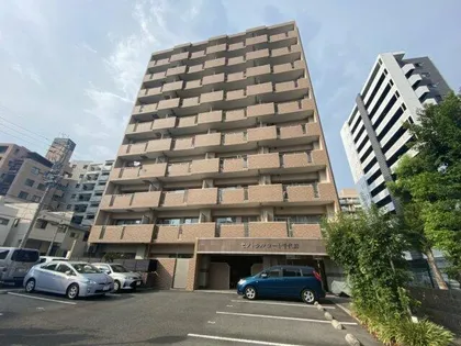 セントラルコート千代田【8階】の外観