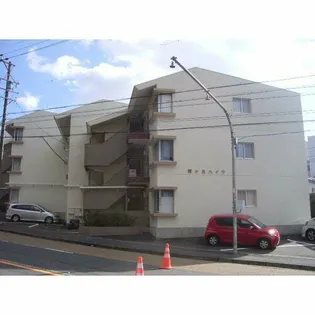 霞ヶ丘ハイツ【1階】の外観