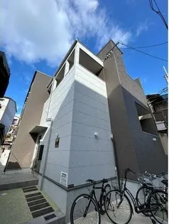 SAYAREINE SUGIMOTOの画像