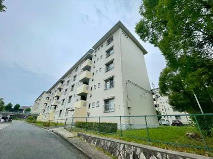 金剛第三住宅222棟の画像