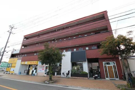 エレガンスくみの木の画像