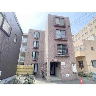 オルセーN19の画像