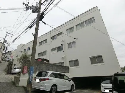 オオタニサンクレバーの画像